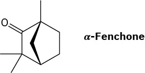 The structure of alpha-fenchone. It is a bicyclo[2.2.1] heptane with two methyls at C 3, one methyl at C 1, and a carbonyl at C 2,
