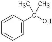 Alt Text Placeholder