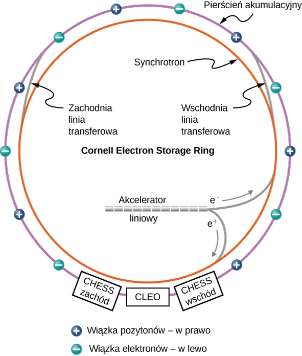Rysunek przedstawia schemat akceleratora CESR Uniwersytetu Cornell. Widzimy dwa kołowe pierścienie, jeden wewnątrz drugiego. Zewnętrzny opisano jako pierścień akumulacyjny. Wzdłuż niego zaznaczono małymi kółkami ładunki o znakach plus i minus. Dodatnie pozytonu krążą zgodnie z kierunkiem wskazówek zegara, a ujemne elektrony – przeciwnie. Na zewnętrznym pierścieniu zaznaczono też trzy prostokąty oznaczone jako CHESS west, CLEO oraz CHESS east. Pierścień wewnętrzny to synchrotron. Oba pierścienie połączone są dwiema liniami, które nazwano zachodnią linią transferową (po lewej) i wschodnią linią transferową (po prawej). Rura wewnątrz pierścieni jest oznaczona jako Akcelerator liniowy. Od tej rury do wewnętrznego pierścienia prowadzą dwie linie – jedna oznaczona e plus wprowadzająca pozytony zgodnie z kierunkiem wskazówek zegara, a druga oznaczona e minus wprowadzająca elektrony w przeciwnym kierunku.