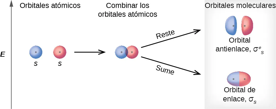 Se muestra un diagrama que representa una flecha vertical hacia arriba que se encuentra a la izquierda de todas las demás partes del diagrama y está marcada como "E". A la derecha inmediata del punto medio de la flecha hay dos círculos marcados cada uno con un signo positivo, la letra S y la frase "Orbitales atómicos". A continuación aparece una flecha horizontal orientada hacia la derecha que señala los mismos dos círculos marcados con signos de suma, pero ahora se tocan y se marcan como "Combinar orbitales atómicos". Dos flechas orientadas hacia la derecha conducen a la última parte del diagrama, una hacia arriba y otra hacia abajo. La flecha superior está marcada como "Sustracción" y señala dos óvalos oblongos marcados con signos positivos y la frase "Orbitales de antienlace sigma subíndice s superíndice asterisco". La flecha inferior está marcada como "Adición" y apunta a un óvalo alargado con dos signos positivos que está marcado como "orbital de enlace sigma subíndice s". El título sobre la última sección del diagrama son las palabras "Orbitales moleculares".