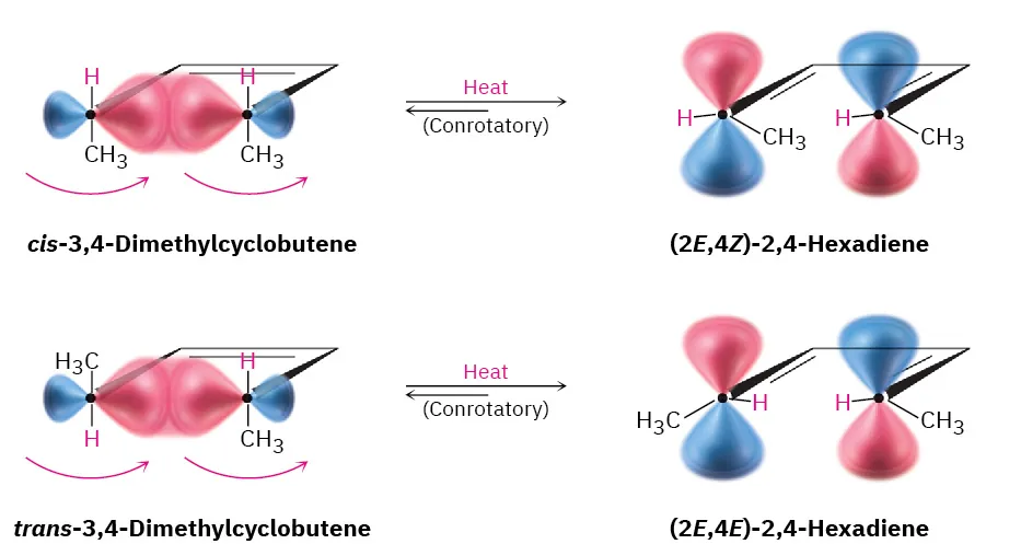 Two thermal ring opening reactions by conrotatory paths. Cis-3,4-dimethylcyclobutene reacts with heat to form (2E,4Z)-2,4-hexadiene. Trans-3,4-dimethylcyclobutene reacts with heat to form (2E,4E)-2,4-hexadiene.