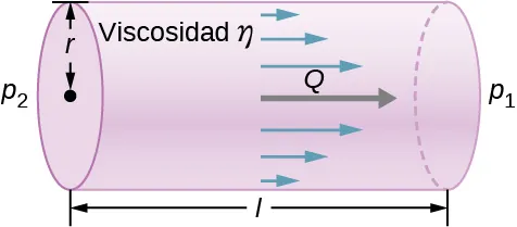 La figura es el esquema de un tubo de longitud l y radio r. El fluido circula a través del tubo en la dirección de una presión mayor p2 a una presión menor p1. El flujo es laminar y es mayor en el centro del tubo.
