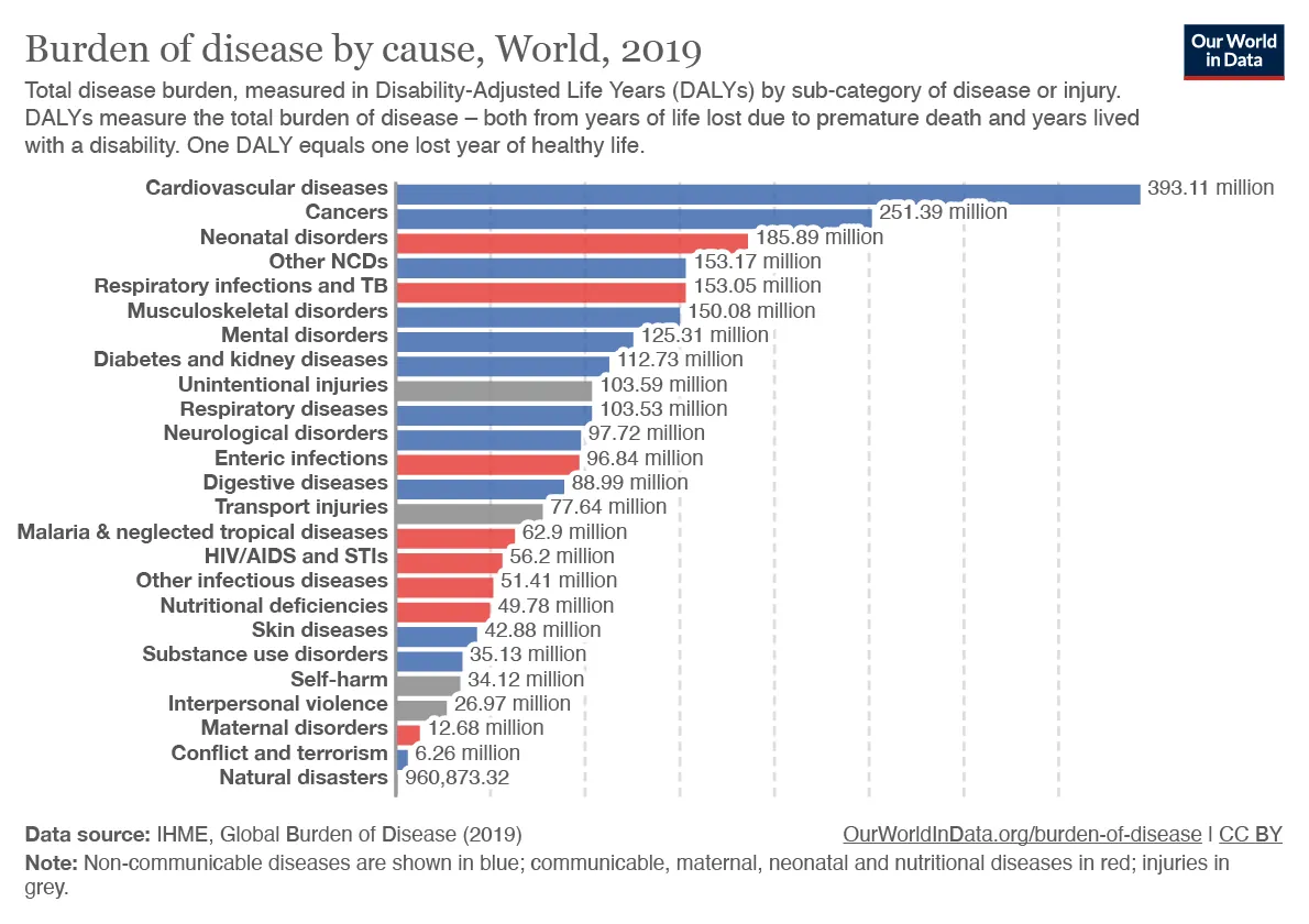 A bar graph shows the worldwide total disease burden measured by disability-adjusted life years in millions in 2019. The top five from largest to smallest are cardiovascular disease 393.11; cancer 251.39; neonatal disorders 185.89; other NCDs 153.17; and respiratory infections and TB 153.05.