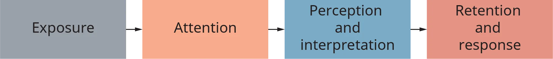 An illustration lists the stages involved in the process of perceptual selectivity.