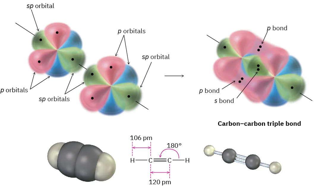 The formation of carbon-carbon triple bond from two sp-hybridized carbon atoms. The space-filling model, chemical structure, and ball and stick model of acetylene are shown.