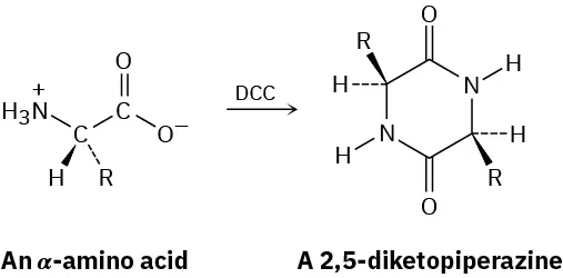 The reaction shows the conversion of an alpha-amino acid to a 2,5-diketopiperazine using D C C as a reagent.