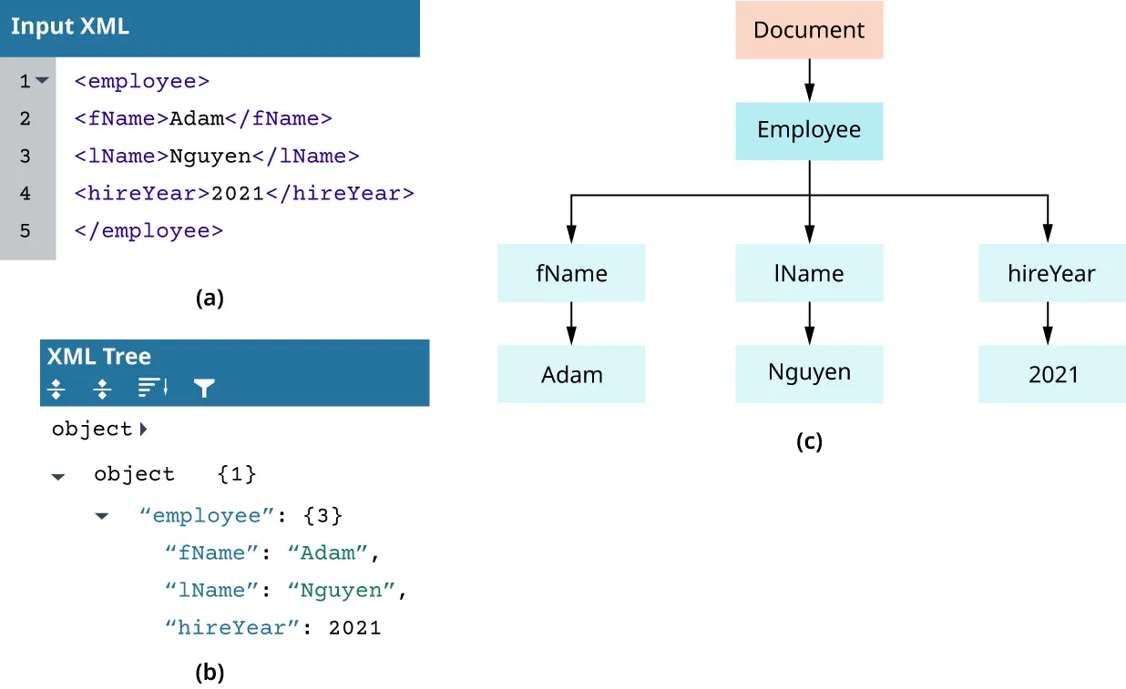 Information for Adam Nguyen, hired in 2021, in (a) Input XML, (b) XML Tree, and (c) DOM tree.