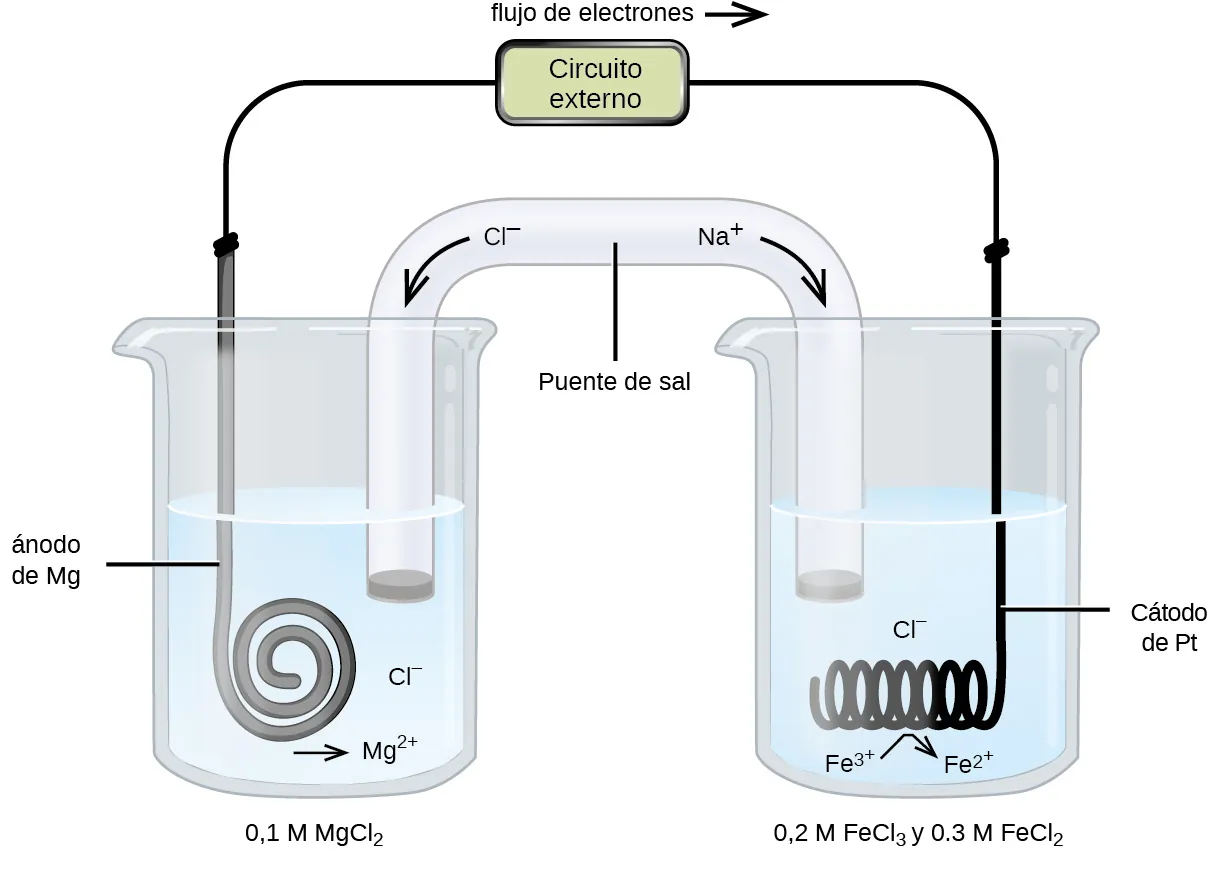 Esta figura contiene un diagrama de una celda electroquímica. Se muestran dos vasos de precipitados. Cada uno de ellos se encuentra a poco más de la mitad de su capacidad. El vaso de la izquierda contiene una solución incolora. El vaso de la derecha también contiene una solución incolora. Un tubo de vidrio en forma de U invertida conecta los dos vasos de precipitados en el centro del diagrama. El contenido del tubo es incoloro. Los extremos de los tubos están por debajo de la superficie de las soluciones en los vasos de precipitados y hay un pequeño tapón gris en cada extremo del tubo. En el centro del diagrama, el tubo está marcado como "Puente salino". Cada vaso de precipitados muestra una bobina metálica sumergida en el líquido. El vaso de precipitados de la izquierda tiene una tira delgada, gris y enrollada que está marcada como "Ánodo M g". El vaso de precipitados de la derecha tiene un cable negro orientado horizontalmente y enrollado en forma de muelle marcado como "Cátodo P t". Debajo del muelle se encuentra la marcación "F e superíndice 3 más" con una flecha curva a la derecha que apunta a la marcación "F e superíndice 2 más". Un cable se extiende a través de la parte superior del diagrama que conecta los extremos de la tira M g y el cátodo P t justo por encima de la apertura de cada vaso de precipitados. En el centro del cable sobre los dos vasos de precipitados hay un rectángulo marcado como "circuito externo". Encima del rectángulo se encuentra la marcación "flujo de electrones" seguida de una flecha que apunta a la derecha. Una flecha apunta hacia abajo y hacia la derecha desde la marcación "N a superíndice más" en la región superior derecha del puente salino. Una flecha apunta hacia abajo y hacia la izquierda desde la marcación "C l superíndice negativo" en la región superior izquierda del puente salino. Debajo del tapón gris en el extremo izquierdo del puente salino en la solución circundante en el vaso de la izquierda está la marcación "C l superíndice negativo". Debajo de la bobina de este lado hay una flecha hacia la derecha y la marcación "M g superíndice 2 más". Debajo del vaso de precipitados de la izquierda está la marcación "0,1 M M g C l subíndice 2". Debajo del vaso de precipitados derecho está la marcación "0,2 M F e C l subíndice 3 y 0,3 M F e C l subíndice 2".
