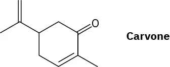 The skeletal structure of carvone.