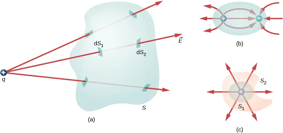 Rysunek pokazuje nieregularny trójwymiarowy kształt oznaczony S. Mała kulka ze znakiem plus, oznaczona q, znajduje się poza nim. Trzy strzałk,i oznaczone jako wektory E, wychodzą z q i przechodzą przez S. Elementarne fragmenty powierzchni, gdzie strzałki przebijają powierzchnię S, są zaznaczone. Elementarny fragment powierzchni, gdzie jedna strzałka wchodzi do obszaru S oznaczony jest dS1, a miejsce gdzie strzałka wyłania się z niego jest oznaczone dS2. Rysunek b pokazuje owal z dwoma małymi kółkami wewnątrz. Oznaczone są jako plus i minus. Trzy strzałki z plusa skierowane są na zewnątrz owalu. Trzy strzałki z obszaru na zewnątrz owalu są skierowane do kółka minus. Trzy strzałki są skierowane od kółka plus do minus. Trzy kolejne strzałki biegną od kółka plus na zewnątrz owalu. Rysunek c przedstawia nieregularny kształt oznaczony S2.Wnętrzu niego znajduje się sfera S1. W centrum znajduje się mała kulka oznaczona znakiem plus. Wychodzi z niej, na zewnątrz, sześć strzałek w różnych kierunkach. 