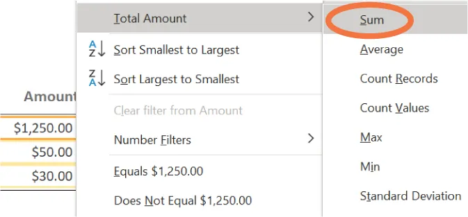 A table with numbers is visible in the background. An open pane displays Total Amount selected and opens to Sum (selected), Average, Count Records, Count Values, Max, Min, and Standard Deviation.