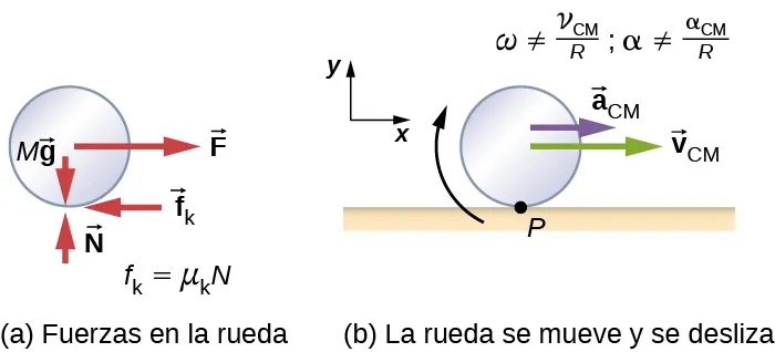 La Figura a muestra un diagrama de cuerpo libre de una rueda, que incluye el lugar donde actúan las fuerzas. Se muestran cuatro fuerzas: M g es una fuerza descendente que actúa en el centro de la rueda. N es una fuerza ascendente que actúa sobre la parte inferior de la rueda. F es una fuerza hacia la derecha, que actúa sobre el centro de la rueda, y f sub k es una fuerza hacia la izquierda que actúa sobre la parte inferior de la rueda. La fuerza f sub k es igual a mu sub k por N. La Figura b es la ilustración de la rueda rodando y deslizándose por una superficie horizontal. La rueda tiene una rotación en el sentido de las agujas del reloj, una aceleración hacia la derecha de a sub C M y una velocidad hacia la derecha de v sub V M. omega no es igual a v sub C M sobre R y alfa no es igual a sub C M sobre R. Se muestra un sistema de coordenadas con la x positiva a la derecha y la y positiva hacia arriba.