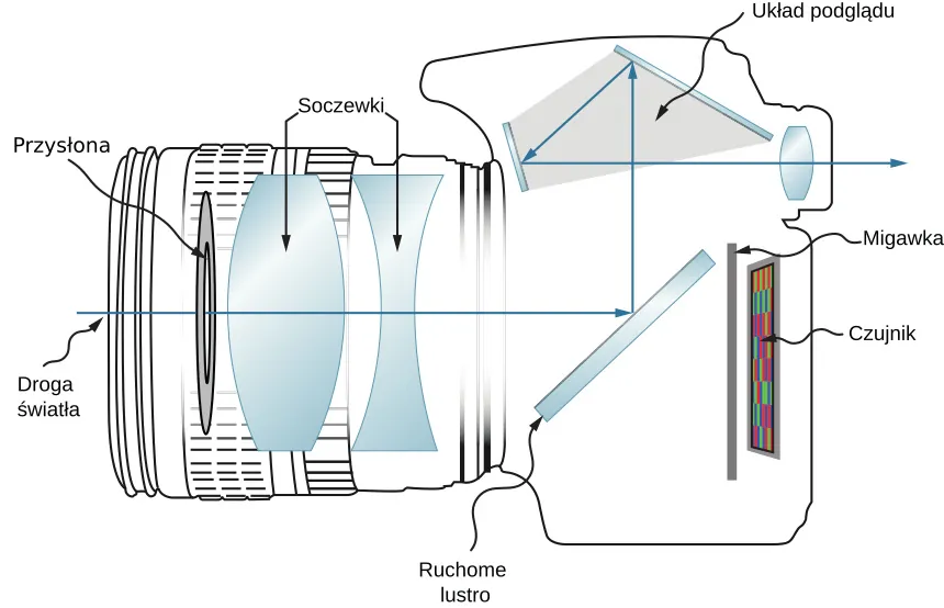 Figura przedstawia cyfrowy aparat fotograficzny. Z przodu aparatu znajduje się dysk opisany jako apertura, za nim dwuwypukła soczewka, zwierciadło opisane jako ruchome lustro, migawka i czujnik. Droga światła jest pokazana w taki sposób, że światło wchodzi do aparatu przez aperturę i pada na zwierciadło. Odbija się do układu podglądu. Tu odbija się od dwóch kolejnych zwierciadeł a następnie przechodzi przez soczewkę i wychodzi z aparatu.