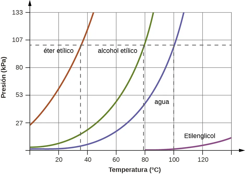 Se muestra un gráfico en el que el eje x está marcado como "Temperatura ( signo de grado, C )" y tiene valores de 200 a 1.000 en incrementos de 200 y el eje y está marcado como "Presión ( k P a )" y tiene valores de 20 a 120 en incrementos de 20. Una línea de puntos horizontal se extiende a través del gráfico en el punto 780 del eje Y, mientras que tres líneas de puntos verticales se extienden desde los puntos 35, 78 y 100 hasta encontrarse con la línea de puntos horizontal. Se grafican cuatro líneas. La primera línea, denominada "éter etílico", comienza en el punto "0 , 200" y se extiende en una ligera curva hasta el punto "45, 1.000", mientras que la segunda línea, denominada "etanol", se extiende desde el punto "0, 20" hasta el punto "88, 1.000" en una curva más extrema. La tercera línea, marcada como "agua", comienza en el punto "0, 0" y se extiende en una curva hasta el punto "108, 1.000", mientras que la cuarta línea, marcada como "etilenglicol", se extiende desde el punto "80, 0" hasta el punto "140, 100" en una curva muy poco profunda.