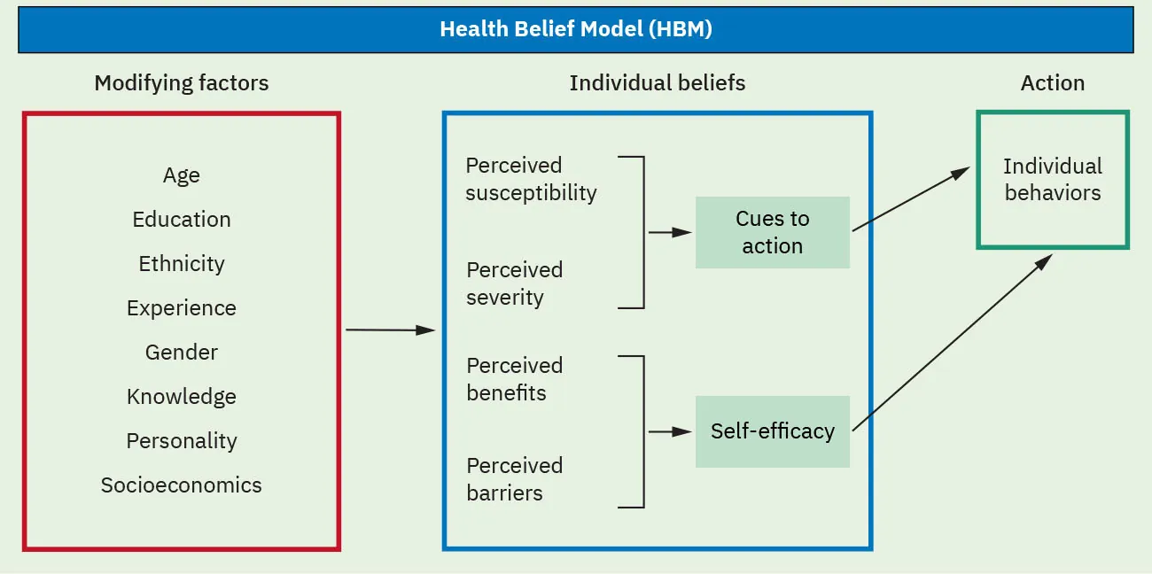 Chart showing Health Belief Model (HBM): Modifying factors shown in red rectangle: Age, Education, Ethnicity, Experience, Gender, Knowledge, Personality, Socioeconomics; arrow leading to Individual beliefs shown in blue rectangle: Perceived susceptibility and Perceived severity shown in bracket with arrow leading to Cues to action, Perceived benefits and Perceived barriers shown in bracket with arrow leading to Self-efficacy; arrows from Cues to action and Self-efficacy leading to Action shown in green rectangle: Individual behaviors