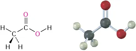 A wedge-dash structure and ball-and-stick model of acetic acid. The gray, black, and red spheres represent hydrogen, carbon, and oxygen atoms, respectively.