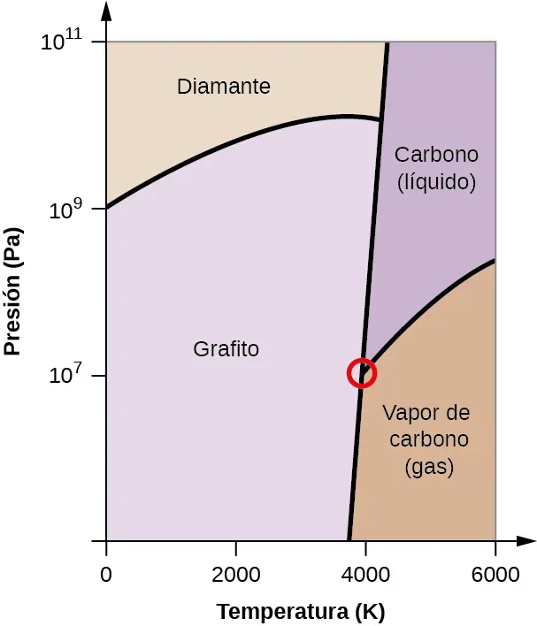 Esta figura muestra un eje x marcado como "Temperatura ( K )" y un eje y marcado como "Presión ( P a )". El eje x está marcado en incrementos de 2.000 a partir de 0. El eje y está marcado en el 0, el 10 elevado a la 7, el 10 elevado a la 9 y el 10 elevado a la 11. Hay una línea con una ligera pendiente negativa que pasa por el eje x a unos 3800. A partir de esta línea hay una línea que se curva hacia arriba y luego hacia abajo a la izquierda para pasar por el eje y a las diez a las 9. Hay otra línea que va hacia arriba y hacia la derecha. Los cuatro cuadrantes están marcados como "Diamante" en la parte superior, "Grafito", a la izquierda, "agua ( líquido )" en la parte superior derecha, y "vapor de agua ( gas )", en la parte inferior derecha. Hay un círculo rojo donde se cruzan las líneas de líquido, gas y grafito.