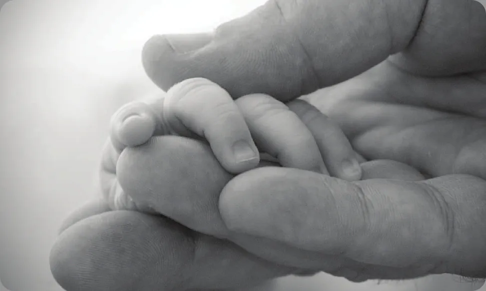 A picture shows two intertwined hands. One is the large hand of an adult, and the other is the tiny hand of an infant. The infant’s entire hand grasp is about the size of a single adult finger.