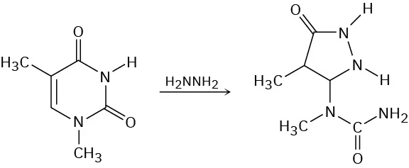 A six-membered ring with two incorporated nitrogens, two carbonyls, and two methyl substituents reacts with hydrazine to form an amide.
