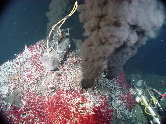 Hydrothermal vents at the bottom of the ocean. Description below.