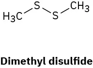 Chemical structure of C H 3 S S C H 3 showing no nonbonding pairs. 
