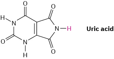 The structure of uric acid from pyrimidine base. The nitrogen atom in the five-membered ring is attached to a highlighted hydrogen. The nitrogen is placed in between two carbonyl groups.