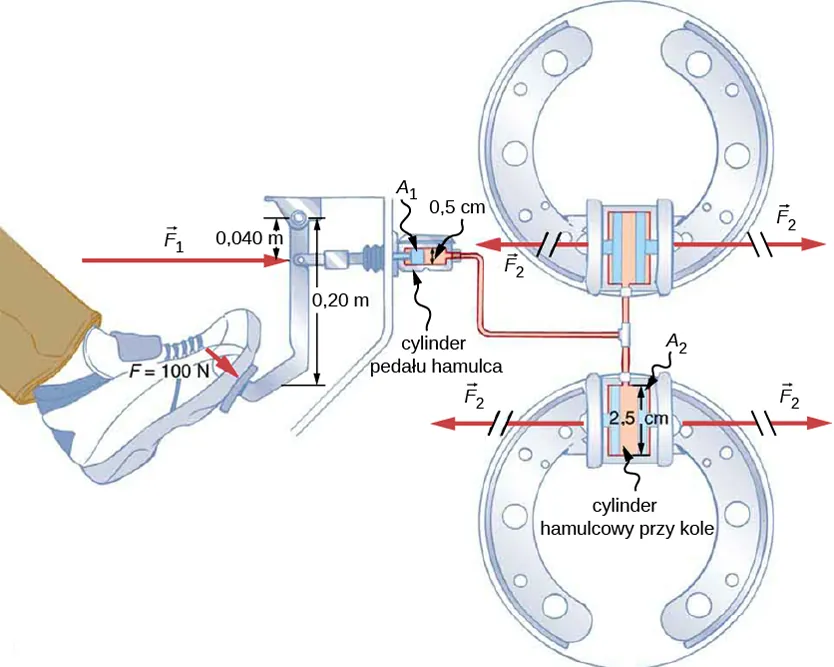 Ilustracja przedstawia schematyczny rysunek hydraulicznego układu hamulcowego. Stopa naciska pedał hamulcowy z siłą F1. Siła ta jest przekazywana do cylindra o średnicy 0,5 cm. Cylinder pedału hamulcowego jest połączony z układem hydraulicznym z dwoma (na rysunku) cylindrami hamulcowymi przy kołach, które mają średnicę 2,5 cm. Cylindry hamulcowe przy kołach generują siłę F2.