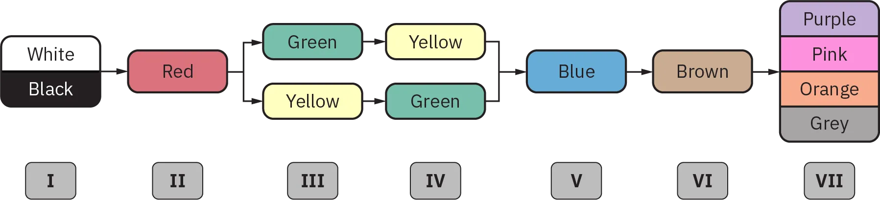 A diagram depicting the following: at Stage 1, markers for “White” and “Black”; at Stage 2, a marker for “Red”; at Stage 3, markers for “Green” and “Yellow≵; at Stage 4, markers for “Yellow” and “Green”; at Stage 5, “Blue”; at Stage 6, “Brown”; and at Stage 7, “Purple,” “Pink,” “Orange,” and “Grey”.