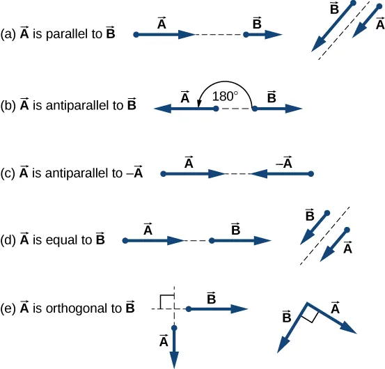 Figure a: Two examples of vector A parallel to vector B. In one, A and B are on the same line, one after the other, but A is longer than B. In the other, A and B are parallel to each other with their tails aligned, but A is shorter than B. Figure b: An example of vector A antiparallel to vector B. Vector A points to the left and is longer than vector B, which points to the right. The angle between them is 180 degrees. Figure c: An example of vector A antiparallel to minus vector A: A points to the right and –A points to the left. Both are the same length. Figure d: Two examples of vector A equal to vector B: In one, A and B are on the same line, one after the other, and both are the same length. In the other, A and B are parallel to each other with their tails aligned, and both are the same length. Figure e: Two examples of vector A orthogonal to vector B: In one, A points down and B points to the right, meeting at a right angle, and both are the same length. In the other, points down and to the right and B points down and to the left, meeting A at a right angle. Both are the same length.