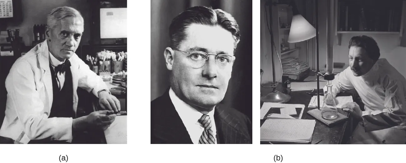 Alexander Fleming, Howard Florey and Ernst Chain. Description in caption.