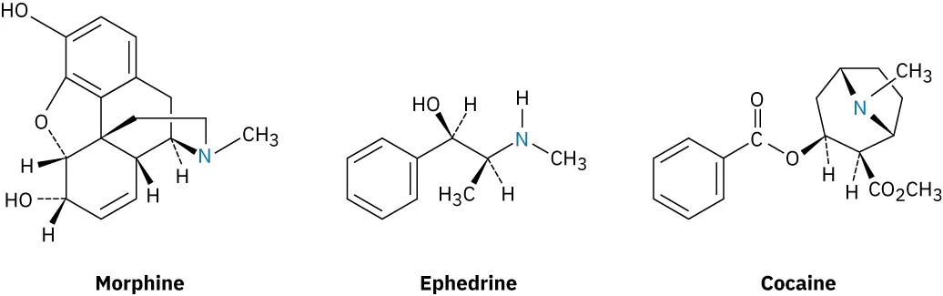 The wedge-dash structures of morphine, ephedrine, and cocaine.