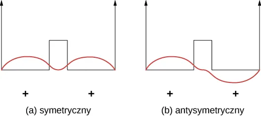 Dwa rysunki, oba mają dwie podobne strzałki skierowane do góry. Ich podstawy połączone są poziomą linią ze wzniesieniem w kształcie prostokątnego pulsu w centrum. Na obu rysunkach widnieją fale ograniczone przez strzałki. Na rysunku a, oznaczonym jako symetryczny, znajduje się fala z dwoma grzbietami. Dolina (pomiędzy grzbietami) położona jest na linii łączącej strzałki. Fala ta nie przechodzi pod tę linię. Na rysunku b, oznaczonym jako antysymetryczny, znajduje się fala z grzbietem powyżej linii po lewej stronie oraz doliną poniżej tej linii po prawej stronie.