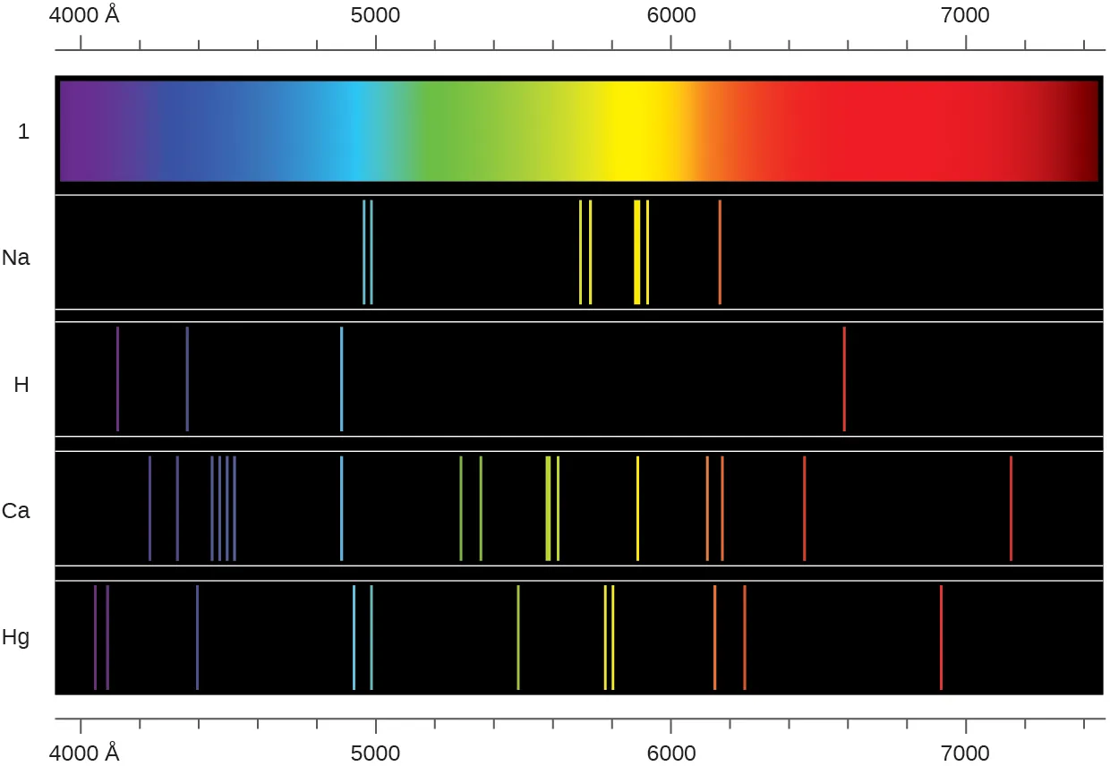 An image is shown with 5 rows. Across the top and bottom of the image is a scale that begins at 4000 angstroms at the left and extends to 740 angstroms at the far right. The top row is a continuous band of the visible spectrum, showing the colors from violet at the far left through indigo, blue, green, yellow, orange, and red at the far right. The second row, labeled, “N a,” shows the emission spectrum for the element sodium, which includes two narrow vertical bands in the blue range, two narrow bands in the yellow-green range, two narrow bands in the yellow range, and one narrow band in the orange range. The third row, labeled, “H,” shows the emission spectrum for hydrogen. This spectrum shows single bands in the violet, indigo, blue, and orange regions. The fourth row, labeled, “C a,” shows the emission spectrum for calcium. This spectrum shows bands in the following colors and frequencies; one violet, five indigo, one blue, two green, two yellow-green, one yellow, two yellow-orange, one orange, and one red. The fifth row, labeled, “H g,” shows the emission spectrum for mercury. This spectrum shows bands in the following colors and frequencies; two violet, one indigo, two blue, one green, two yellow, two orange, and one orange-red. It is important to note that each of the color bands for the emission spectra of the elements matches to a specific wavelength of light. Extending a vertical line from the bands to the scale above or below the diagram will match the band to a specific measurement on the scale.