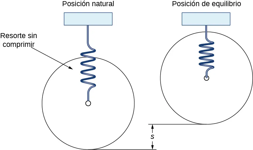 Esta figura tiene dos resortes unidos por encima en un punto fijo. El primer resorte está marcado como "Posición natural" y tiene un resorte sin comprimir que cuelga verticalmente. El segundo resorte está marcado como "Posición de equilibrio" y tiene un resorte comprimido que cuelga verticalmente. La diferencia vertical entre los dos resortes está marcada, "s"