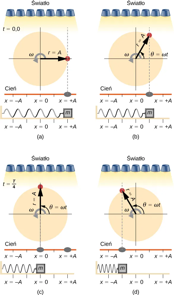 Porównanie kątowego położenia kołka na obracającej się tarczy, położenia jego cienia oraz położenia masy drgającej na poziomej sprężynie. Na każdym z rysunków kołek jest oświetlany z góry przez zestaw lamp i rzuca cień wzdłuż prostej, poziomej linii. Tarcza ma promień r = A i obraca się w kierunku przeciwnym do ruchu wskazówek zegara z prędkością kątową omega. Kątowa pozycja kołka, theta, wynosi zero, gdy kołek jest dokładnie na prawo od środka tarczy. Sprężyna jest po lewej zamocowana do ściany a po prawej przytwierdzono do niej klocek. Położenie klocka i cienia oznaczono jako x, gdzie x=0 znajduje się dokładnie pod środkiem tarczy, x=-A znajduje się dokładnie pod lewą krawędzią tarczy, a x=+A znajduje się dokładnie pod prawą krawędzią tarczy. Na rysunku a, t=0. Kołek jest dokładnie po prawo od środka tarczy. Jego cień i klocek oba znajdują się w punkcie x = +A. Na rysunku b kołek znajduje się w pierwszym kwadrancie, pod kątem theta równa się omega t. Jego cień i klocek oba są dokładnie pod kołkiem w odległości x = +A/2. Czas nie jest określony. Na rysunku c, t=T/4. Kołek znajduje się dokładnie ponad środkiem tarczy. Jego położenie kątowe to theta równe omega t. Jego cień i klocek oba znajdują się w punkcie x =0. Na rysunku d kołek jest w położeniu kątowym theta równe omega t, tyle że teraz w drugim kwadrancie tarczy. Jego cień i klocek znajdują się poniżej, w punkcie x = -A/2. Czas nie jest oznaczony.