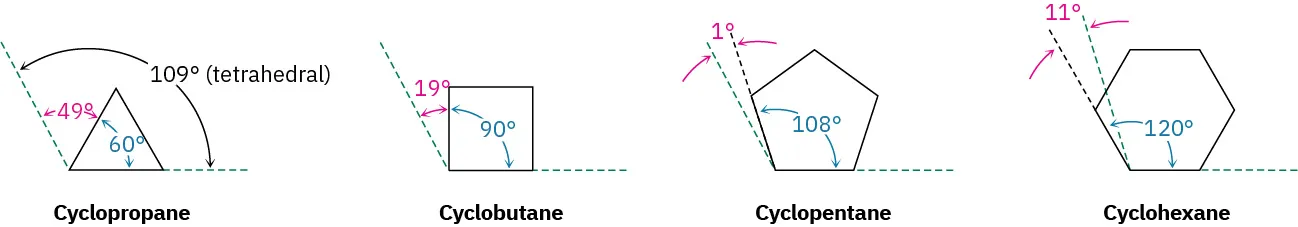 The bond-line structures of cyclopropane, cyclobutane, cyclopentane, and cyclohexane along with angle strains outside and inside the rings.