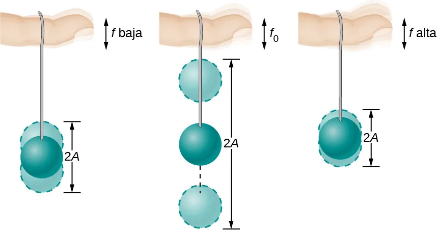 La figura muestra tres imágenes de una horizontal vista una cuerda suspendida de un dedo con una pelota atada en su extremo inferior. En la primera figura, el dedo se mueve hacia arriba y hacia abajo con una frecuencia baja f, y la pelota se mueve hacia arriba y hacia abajo a cierta distancia de su altura de equilibrio, el desplazamiento se muestra en las figuras como sombras difuminadas de la pelota y la posición de equilibrio como una imagen más oscura. En la segunda figura, el dedo se mueve hacia arriba y hacia abajo con una frecuencia f sub cero y el movimiento de la pelota es mucho mayor que en la primera. En la tercera figura, el dedo se mueve hacia arriba y hacia abajo con una alta frecuencia f, y el movimiento de la pelota es menor que en la primera figura. En las tres figuras la distancia total desde la posición más baja a la más alta de la pelota se indica como 2 A.