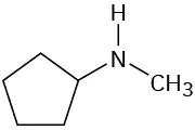 A chemical structure of N-cyclopentyl-N-methylamine