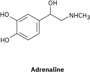The skeletal structure of adrenaline.