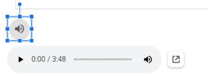 A screenshot of the Audio icon is shown.