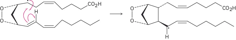 The mechanism for the formation of cyclopentane ring in prostaglandin H 2 radical.