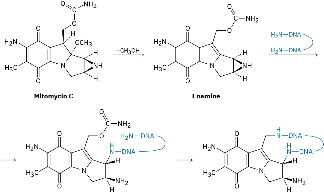 The removal of methanol from mitomycin C forms enamine. This reacts with two amine groups connected to deoxyribonucleic acid to form an intermediate. This reacts to form the final product.