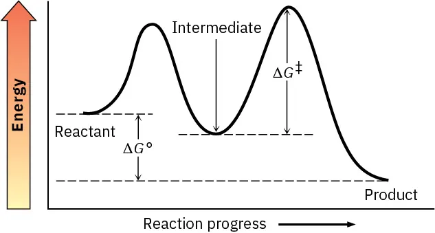 Energy diagram shows large barrier to transition state, intermediate lower in energy than reactant, large barrier (higher than first) to second transition state, low energy product.