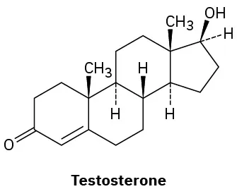 The wedge-dash structure of testosterone.