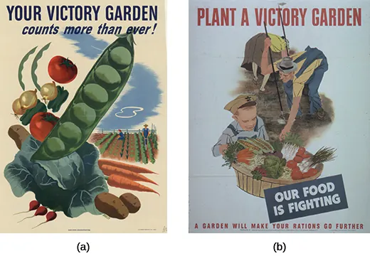 Poster (a) reads “Your Victory Garden counts more than ever!” and features a series of bright vegetables in the foreground with a farm scene in the background. Poster (b) reads “Plant a Victory Garden. Our Food is Fighting. A Garden Will Make Your Rations Go Further.” An illustration of a man and a woman tending farm vegetables is shown, with a small boy in the foreground smiling at a large basket of freshly picked vegetables.