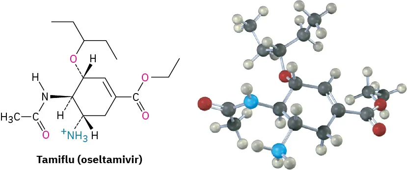 The wedge-dash structure and ball and stick model of Tamiflu (oseltamivir).