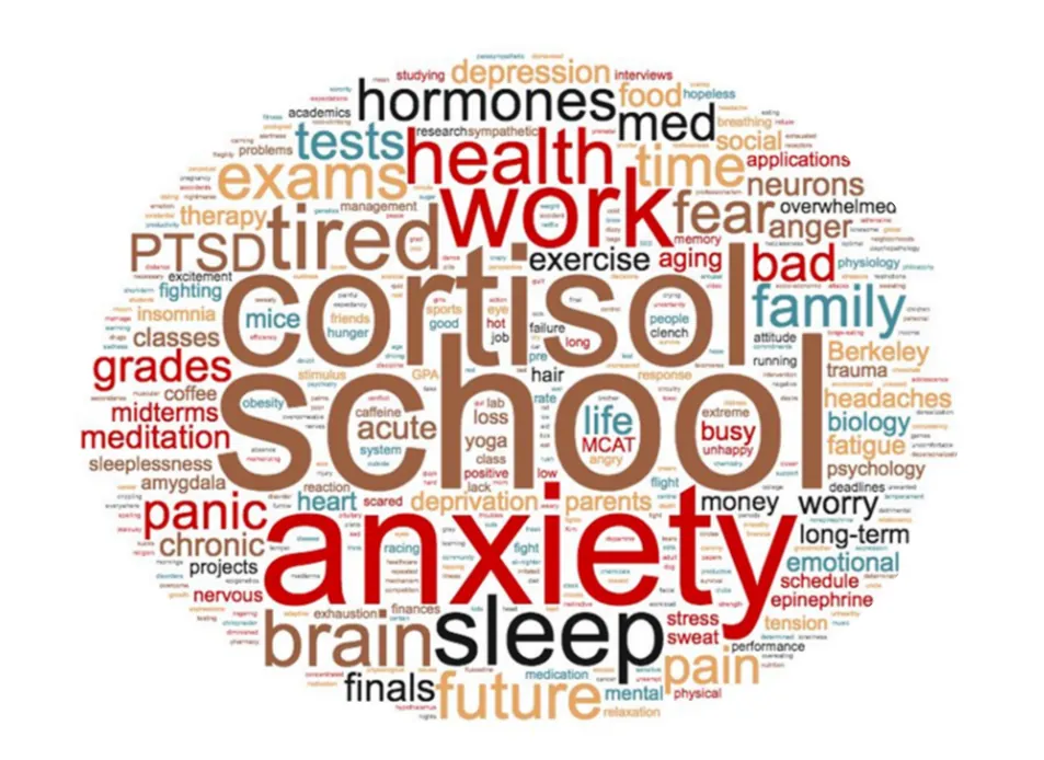 A word cloud showing common word responses of UC Berkeley students to “What does stress mean to you?” The five largest words are School, cortisol, anxiety, work, sleep.