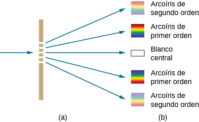 La figura muestra una línea vertical a la izquierda. Tiene cinco ranuras. Un rayo entra por la izquierda y cinco rayos salen por la derecha, uno por cada ranura. Éstas apuntan a cuadrados que están marcados, de arriba a abajo: arcoíris de segundo orden, arcoíris de primer orden, blanco central, arcoíris de primer orden, arcoíris de segundo orden. Los arcoíris de primer orden mostrados en los cuadrados son más brillantes que los de segundo orden.