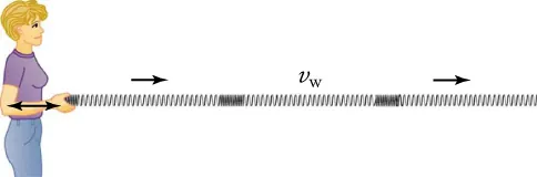 A woman stretches and compresses a slinky horizontally, creating longitudinal waves that propagate horizontally away from her and disturbing the slinky horizontally as well.