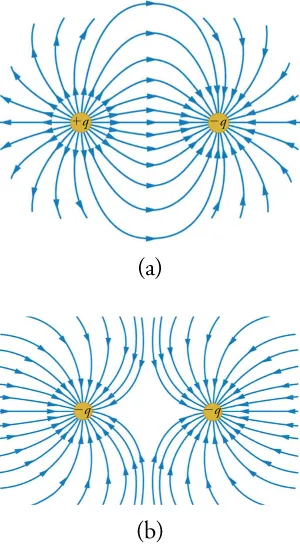 This figure has two parts, each of which displays two small circles and numerous curved arrows. In Part a, the circle on the left is marked “plus q” and the one on the right is marked “minus q”. Numerous curved arrows emanate from the circle on the left, and many of them terminate on the circle on the right. In Part b, both circles are marked “minus q”. Numerous curved arrows coming from outside these circles terminate on them. Between the two circles is a gap, because the arrows terminating on the left circle do not touch those terminating on the right circle.